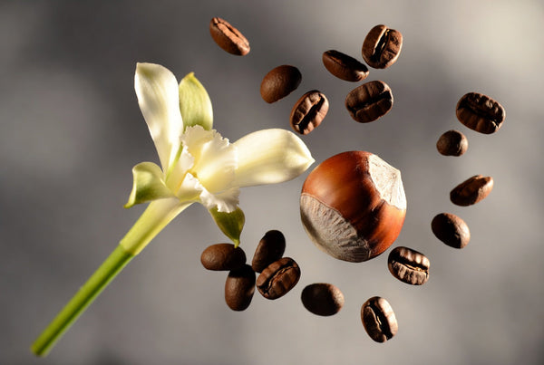 A photograph of a dynamic collision between a vanilla flower, hazelnut, and coffee beans in mid-air.