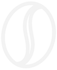 White coffee bean on a white background