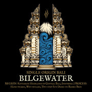 single origin bali coffee art by bilge brew
