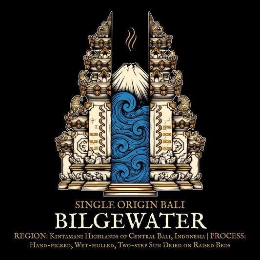single origin bali coffee art by bilge brew