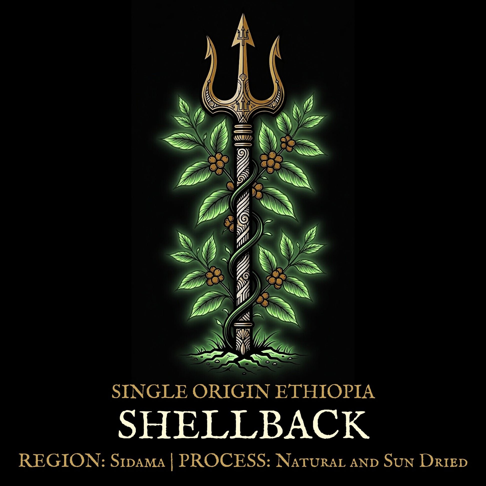 single origin ethiopia coffee bag art
